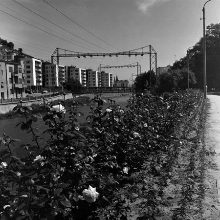 minerva_1967-1973_c3r28_004