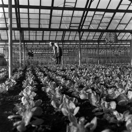 minerva_1967-1973_c4r10_001