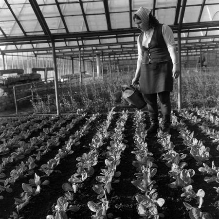 minerva_1967-1973_c4r10_005