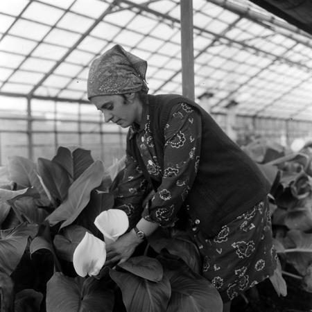 minerva_1967-1973_c4r10_006