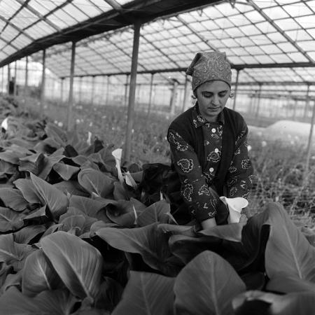 minerva_1967-1973_c4r10_008