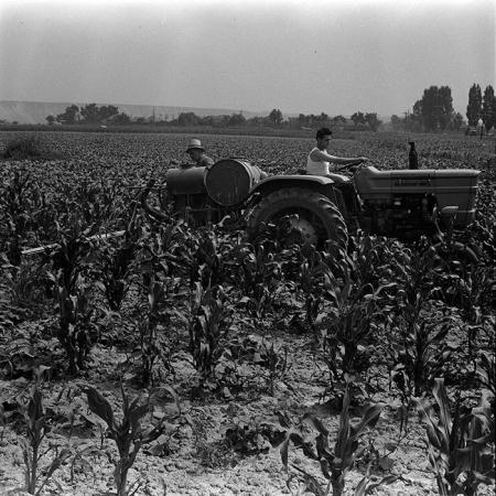 minerva_1967-1973_c4r11_001