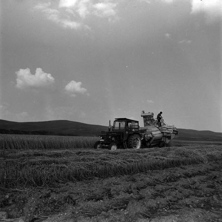 minerva_1967-1973_c4r11_008