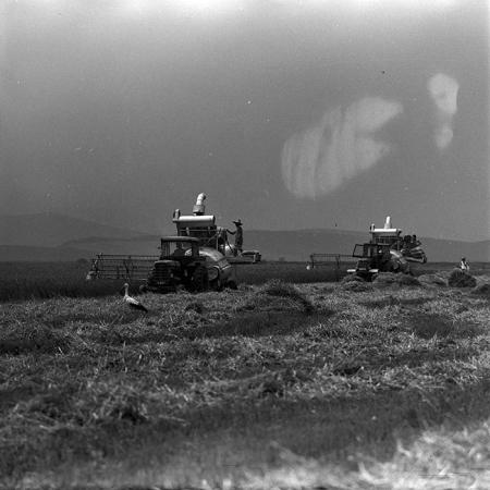 minerva_1967-1973_c4r11_019