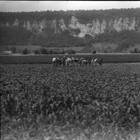 minerva_1967-1973_c4r11_024