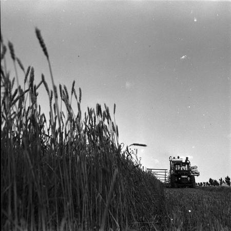 minerva_1967-1973_c4r11_028