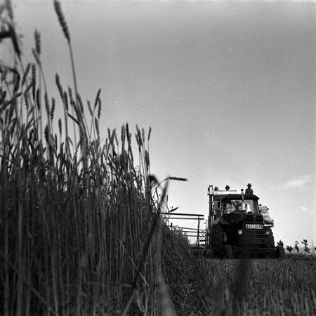 minerva_1967-1973_c4r11_029