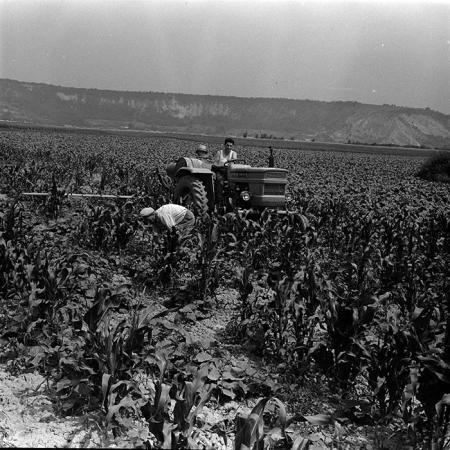 minerva_1967-1973_c4r11_031