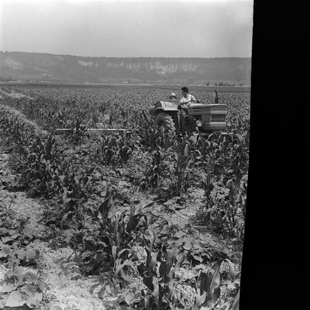 minerva_1967-1973_c4r11_032