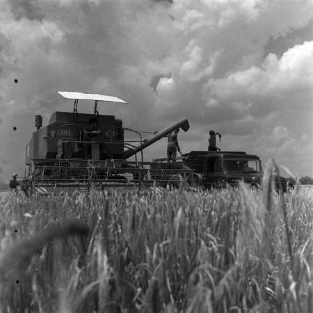 minerva_1967-1973_c4r12_005