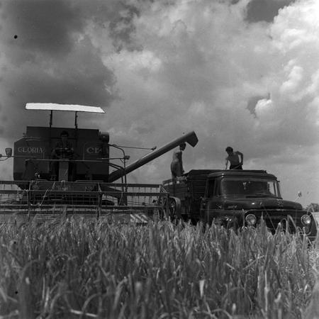 minerva_1967-1973_c4r12_006