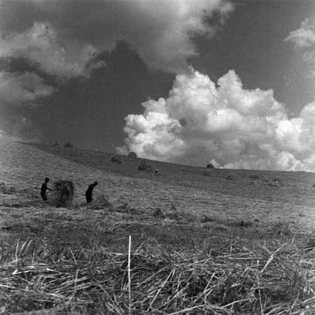 minerva_1967-1973_c4r12_029