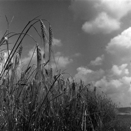 minerva_1967-1973_c4r12_032