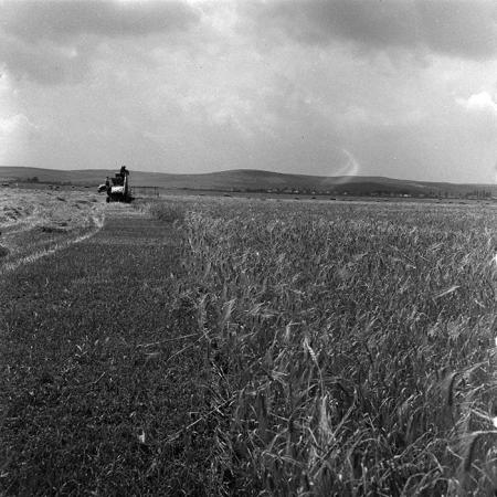 minerva_1967-1973_c4r12_033