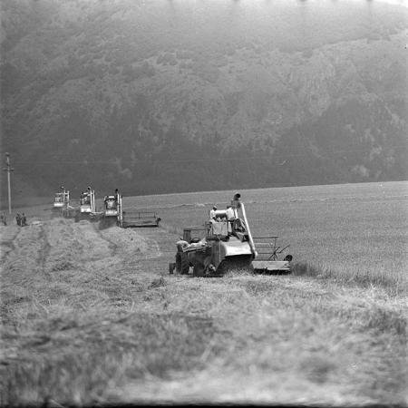 minerva_1967-1973_c4r14_003