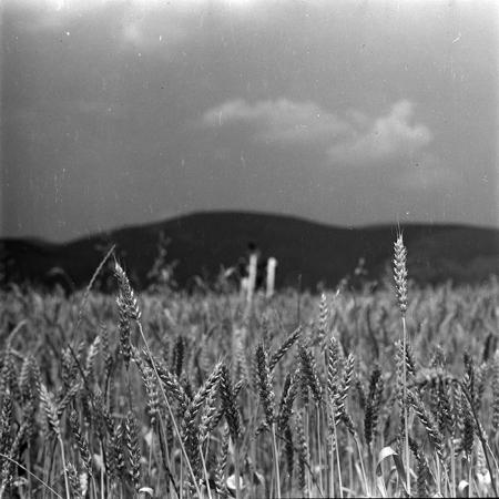 minerva_1967-1973_c4r14_007