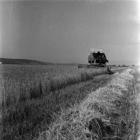 minerva_1967-1973_c4r14_013