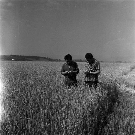 minerva_1967-1973_c4r14_016