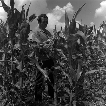 minerva_1967-1973_c4r14_017