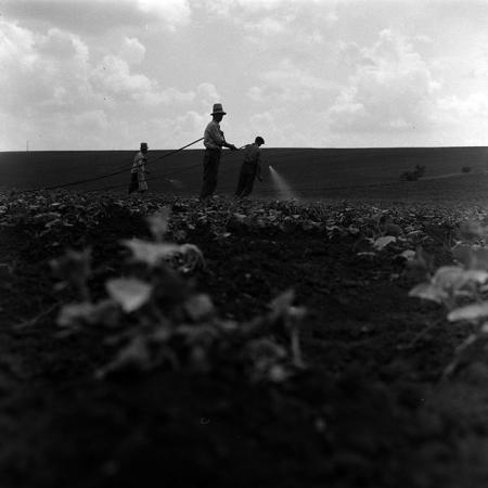 minerva_1967-1973_c4r14_020