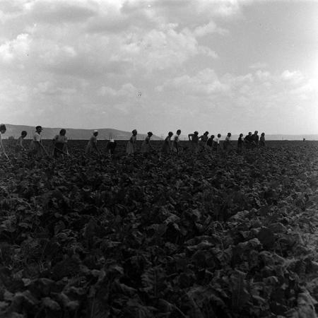 minerva_1967-1973_c4r14_023