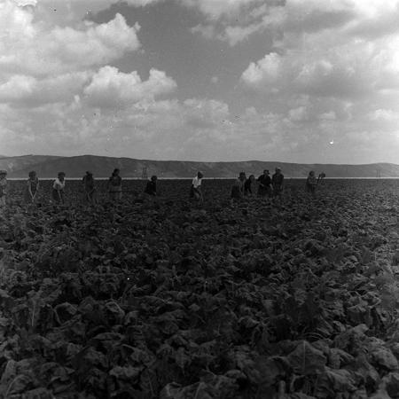 minerva_1967-1973_c4r14_025