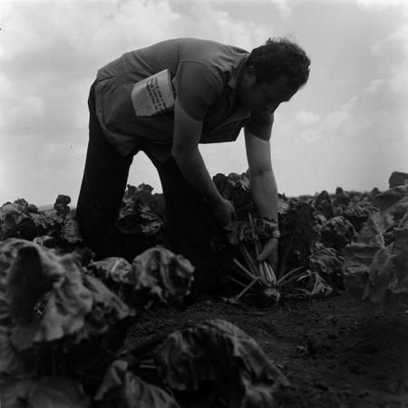 minerva_1967-1973_c4r14_026