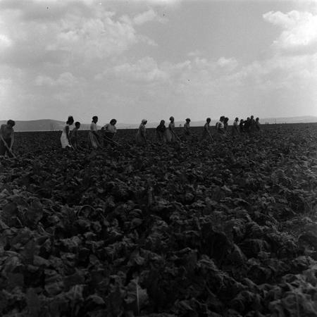 minerva_1967-1973_c4r14_028