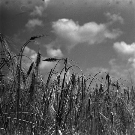 minerva_1967-1973_c4r14_031