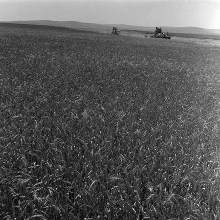 minerva_1967-1973_c4r16_001