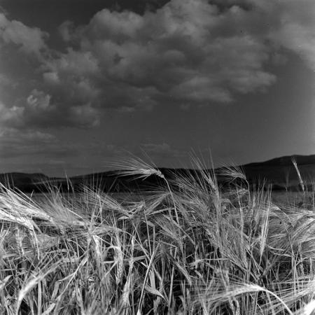 minerva_1967-1973_c4r16_004