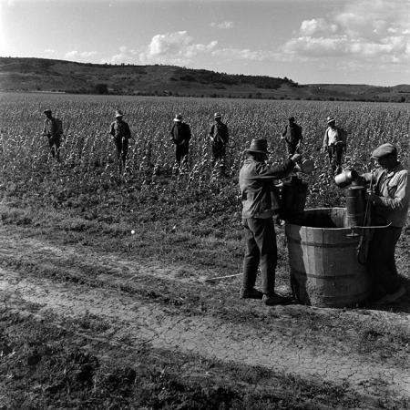 minerva_1967-1973_c4r16_006