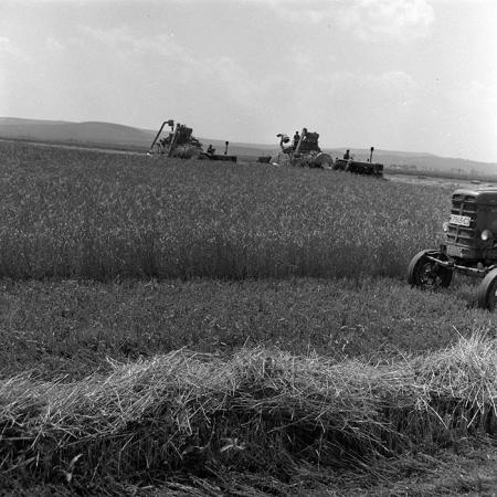 minerva_1967-1973_c4r16_007