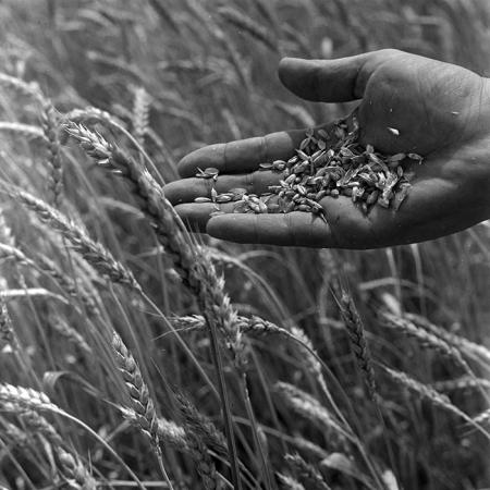 minerva_1967-1973_c4r17_004