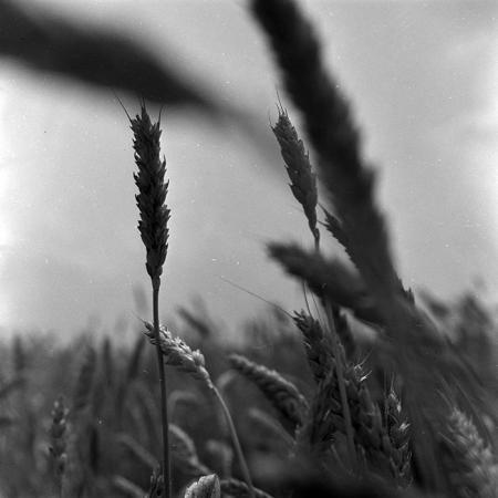 minerva_1967-1973_c4r17_005