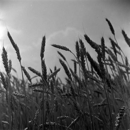 minerva_1967-1973_c4r17_006