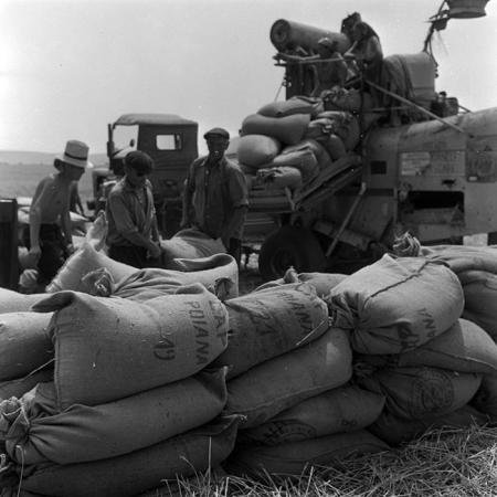 minerva_1967-1973_c4r17_010