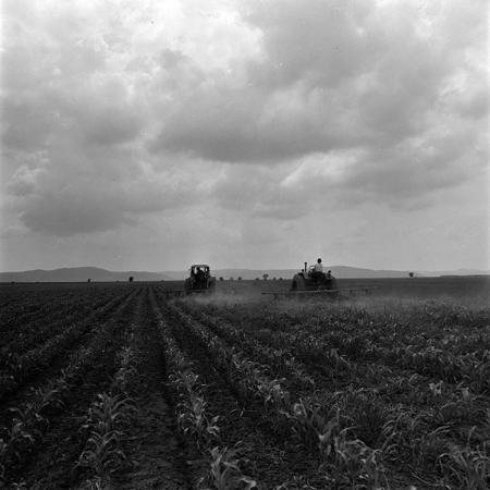 minerva_1967-1973_c4r19_002