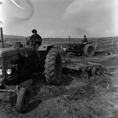 minerva_1967-1973_c4r20_012