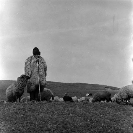 minerva_1967-1973_c4r20_013