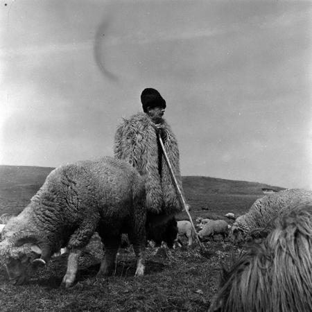 minerva_1967-1973_c4r20_014