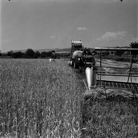 minerva_1967-1973_c4r25_005