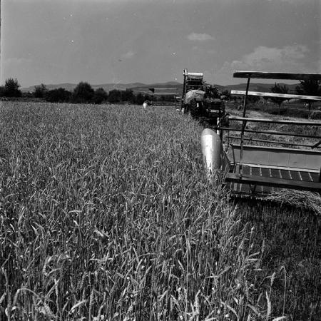 minerva_1967-1973_c4r25_006