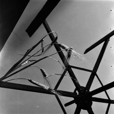 minerva_1967-1973_c4r25_015