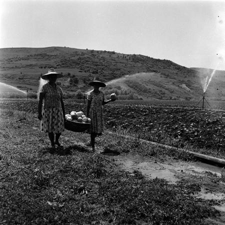 minerva_1967-1973_c4r25_016