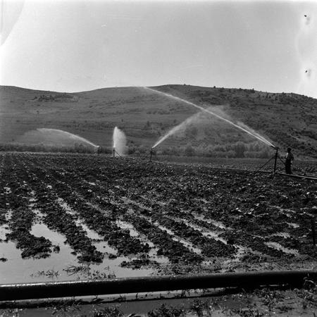 minerva_1967-1973_c4r25_017