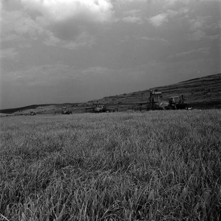 minerva_1967-1973_c4r25_019