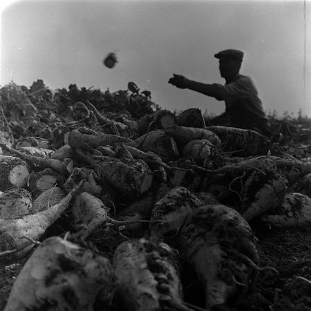 minerva_1967-1973_c4r2_006