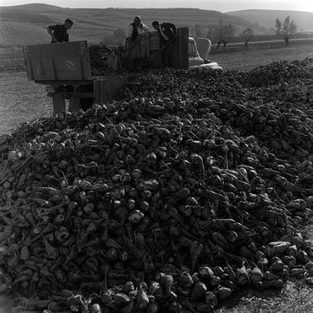 minerva_1967-1973_c4r2_013