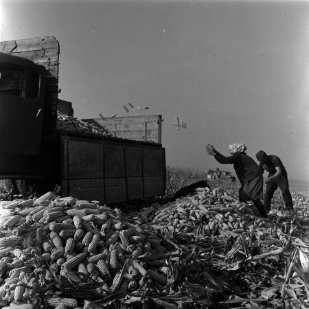 minerva_1967-1973_c4r2_019